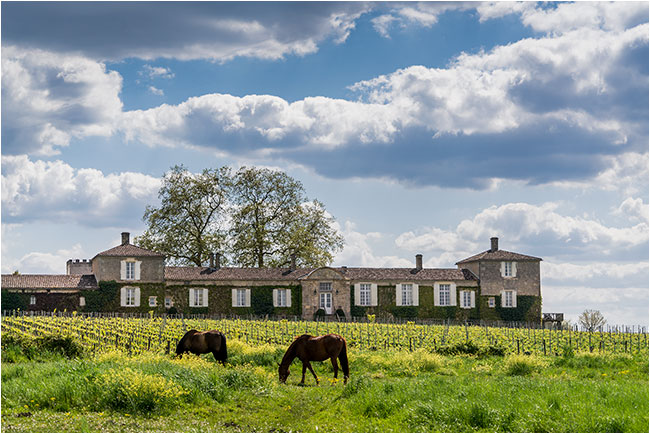 Sauternes Chateau d'Arche