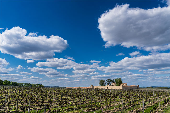 Sauternes Chateau Lafaurie-Peyraguey