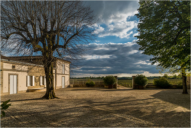 Sauternes Chateau Climens