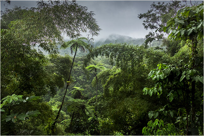 Martinique