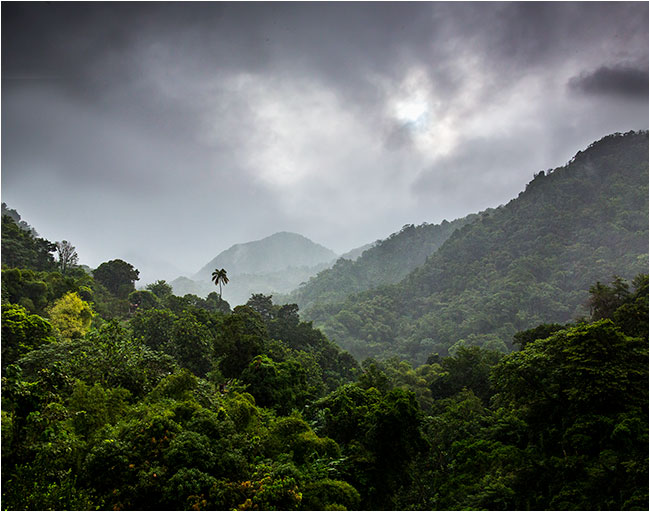 Martinique