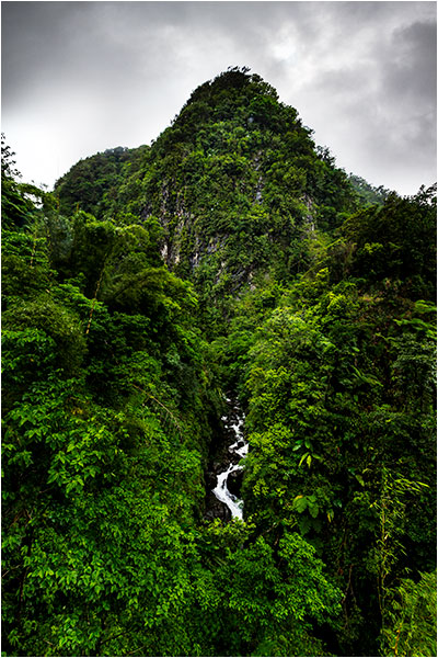 Martinique