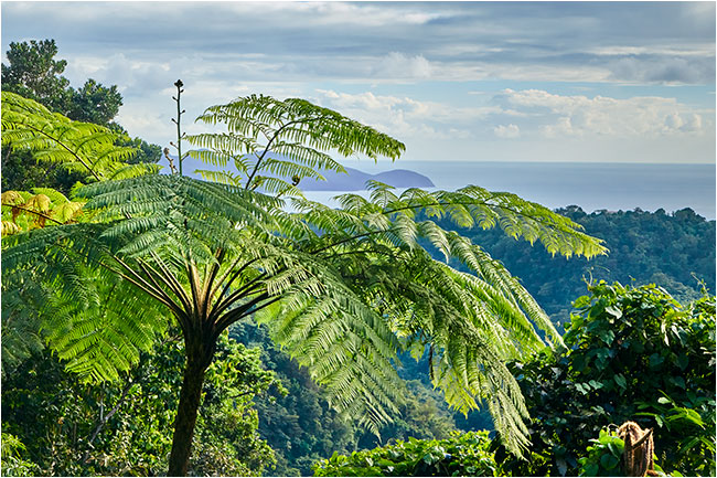 Martinique