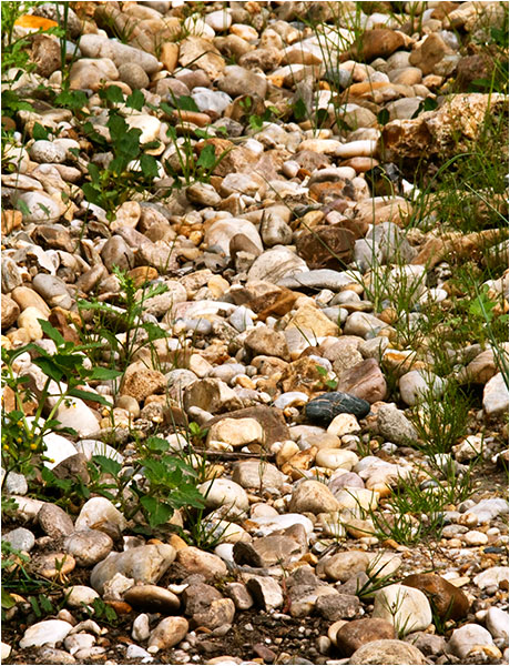 Chateau Léoville Las Cases © Richard Haughton