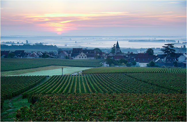 Romanée-Conti © Richard Haughton