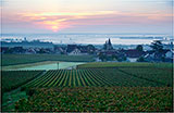 Romanée-Conti © Richard Haughton